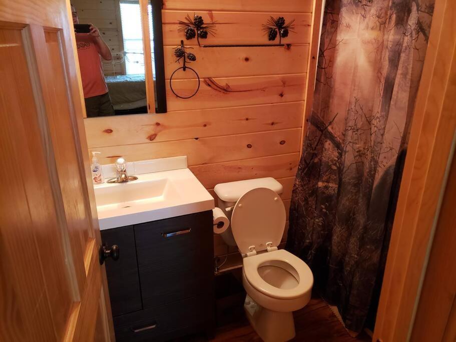 Moonlight Woods Cabin. Beautiful & Relaxing. Sevierville Exterior foto